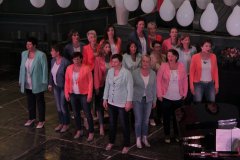 Voorjaarsconcert Solid & Vocal Chain 